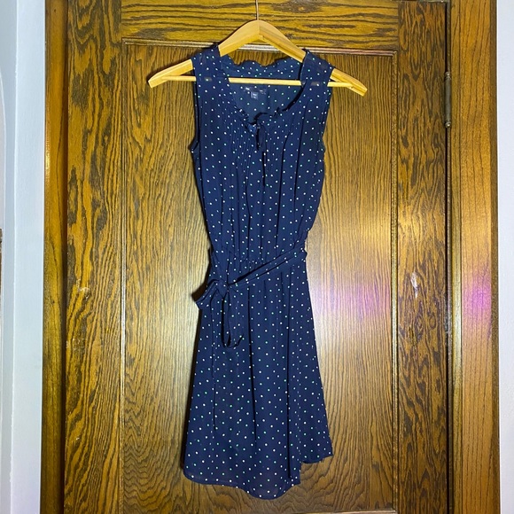 Gap navy blue polka dots knee length dress - Picture 1 of 4